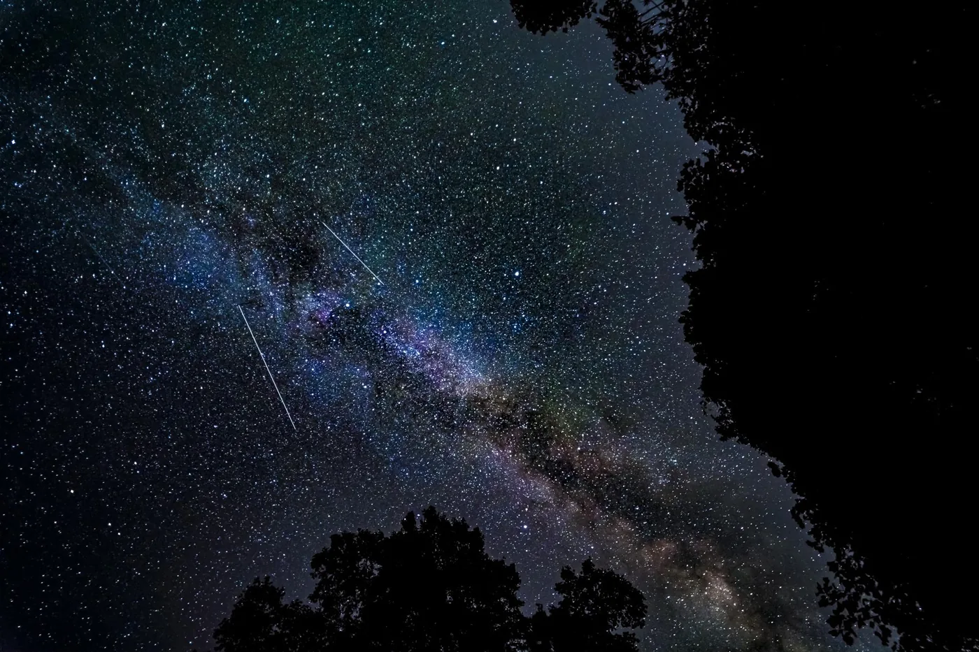 The Milky Way over the forest canopy at night at Raven’s Retreat Hocking Hills