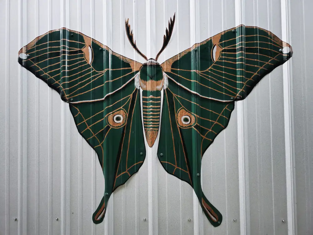A giant luna moth artwork mounted on the Art Bungalow exterior