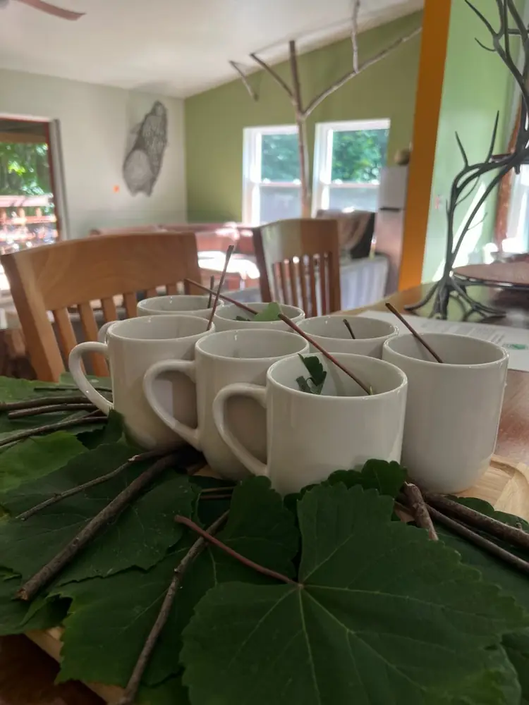 Plant based food and wild forged tea at Raven’s Retreat Hocking Hills