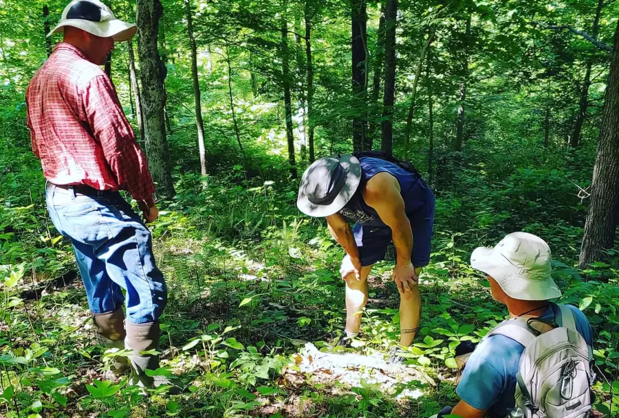 Dustin leading a small group foraging for wild edibles through the forest at Raven's Retreat