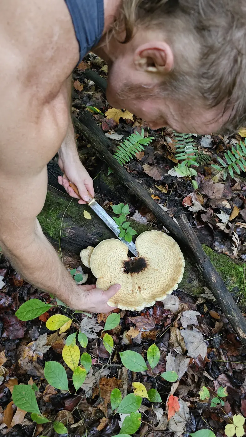 Guests foraging for wild edibles along the trail through the preserve at Raven's Retreat Hocking Hills