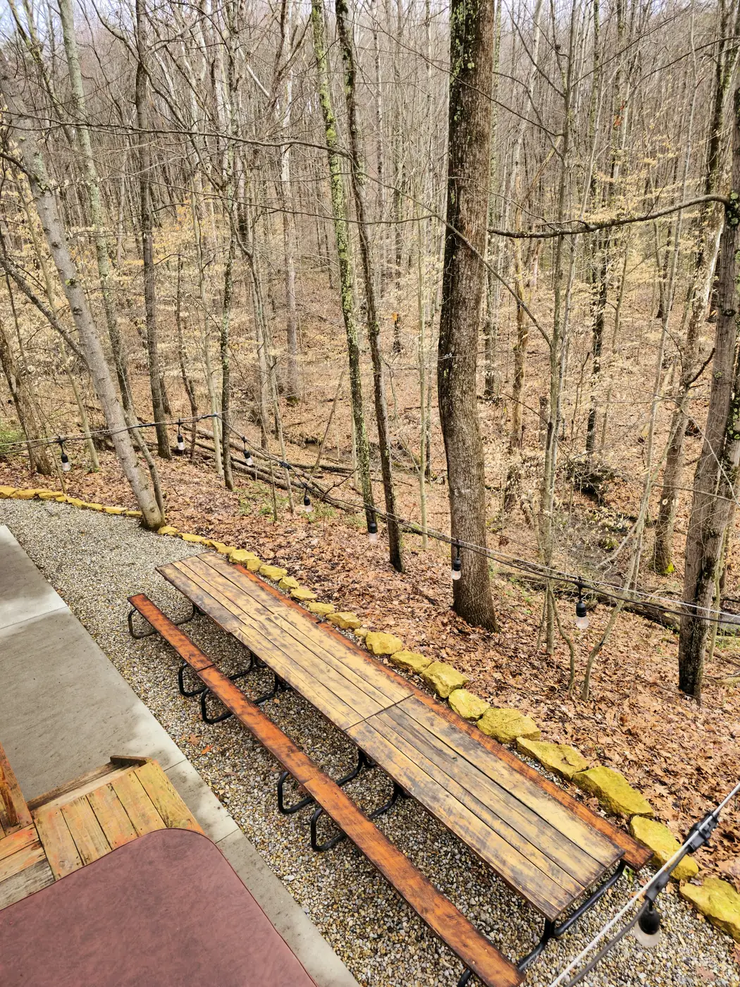 The long communal dining table beside the Art Lodge, set under festoon lights at the forest edge