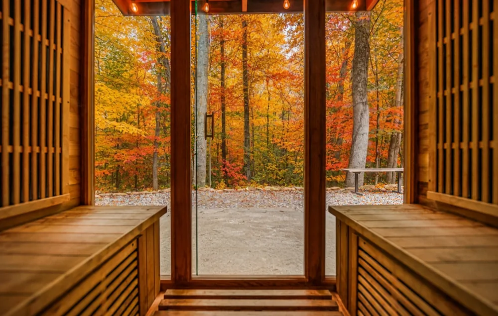 View from inside the cedar sauna out to autumn forest color at Raven's Retreat
