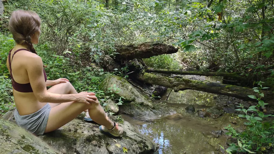 Guest sitting quietly beside the forest creek during a silent solo retreat