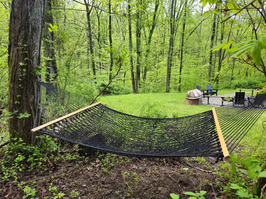 Hammock strung between trees outside the Sculptor’s Art Lodge