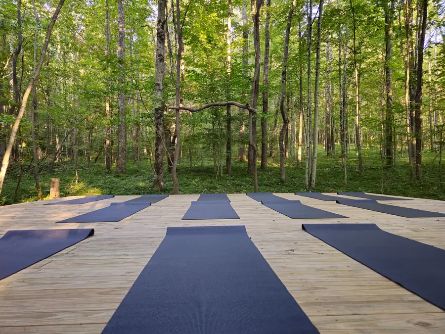 Women practicing yoga together on the elevated forest platform in autumn at Raven's Retreat
